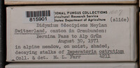 Image Associated With the Occurence